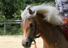 Thalmeierranch01072012 092
