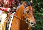 Thalmeierranch01072012 093