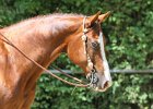 Thalmeierranch01072012 094