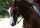 Thalmeierranch01072012 095