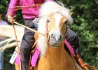 Thalmeierranch01072012 096
