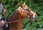 Thalmeierranch01072012 098