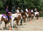 Thalmeierranch01072012 106