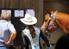 Thalmeierranch01072012 137