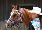 Thalmeierranch01072012 164