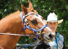 Thalmeierranch01072012 173
