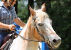 Thalmeierranch01072012 203