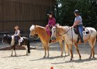 Thalmeierranch01072012 208