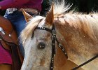 Thalmeierranch01072012 209