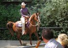 Thalmeierranch01072012 230