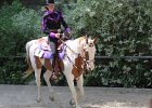 Thalmeierranch01072012 256