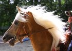 Thalmeierranch01072012 262
