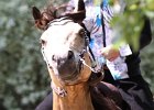 Thalmeierranch01072012 266