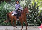 Thalmeierranch01072012 274