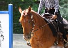 Thalmeierranch01072012 275
