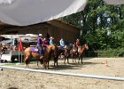 Thalmeierranch01072012 284