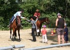 Thalmeierranch01072012 285
