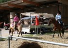 Thalmeierranch01072012 288