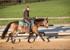 LindenhofRanch 20131009 010