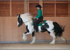 LindenhofRanch 20131009 125