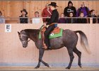 LindenhofRanch 20131009 161
