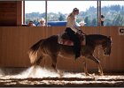LindenhofRanch 20131009 212