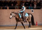 LindenhofRanch 20131009 220