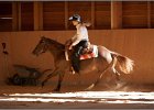 LindenhofRanch 20131009 231