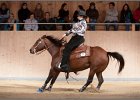 LindenhofRanch 20131009 262