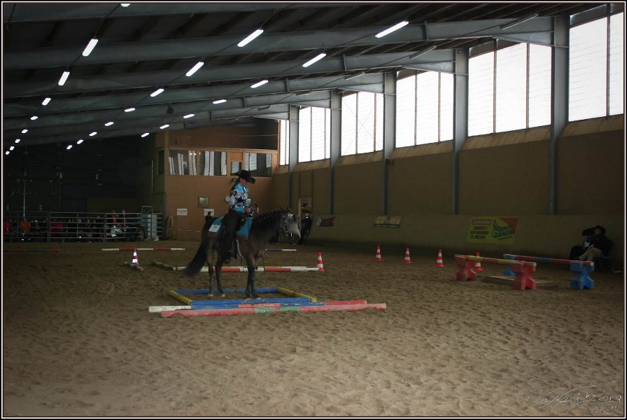 mp-stables 20130921 003