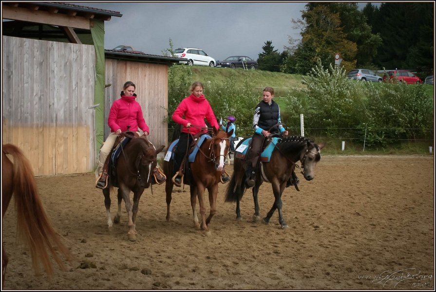 mp-stables 20130921 004
