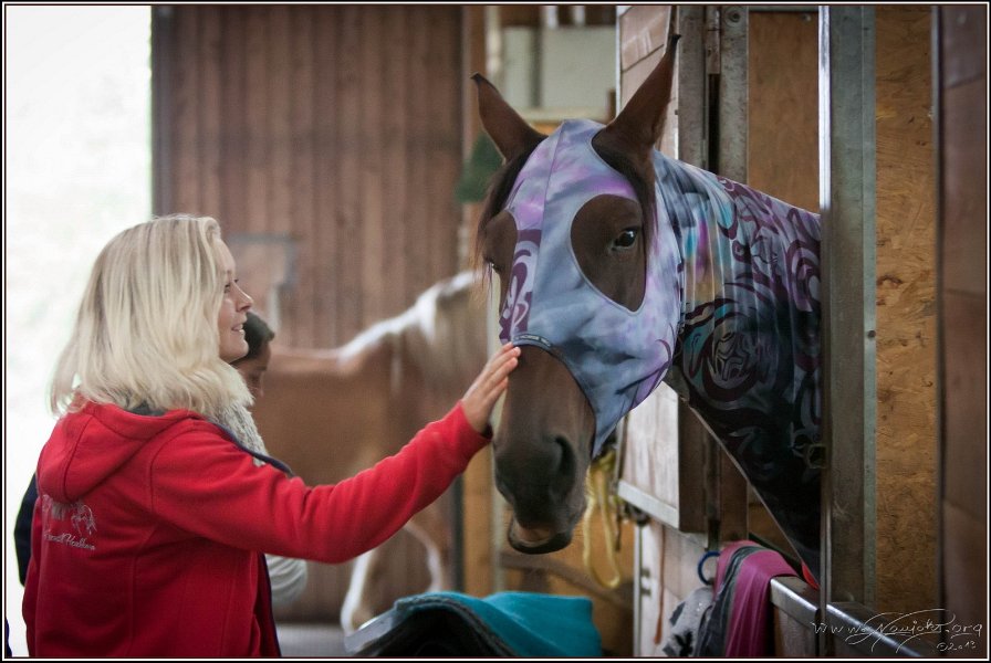 mp-stables 20130921 005