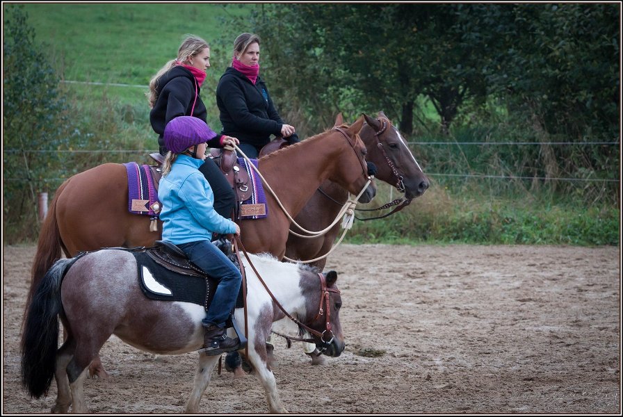 mp-stables 20130921 007