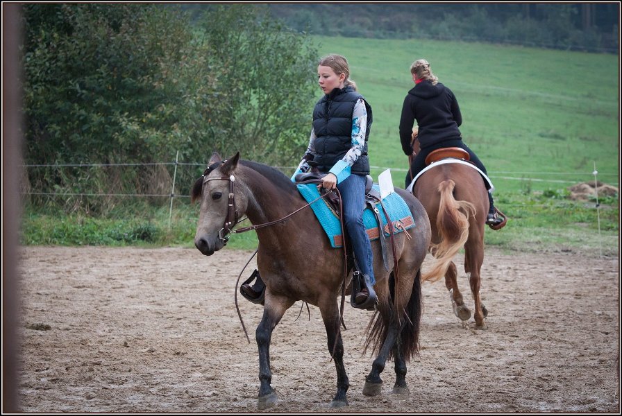 mp-stables 20130921 008
