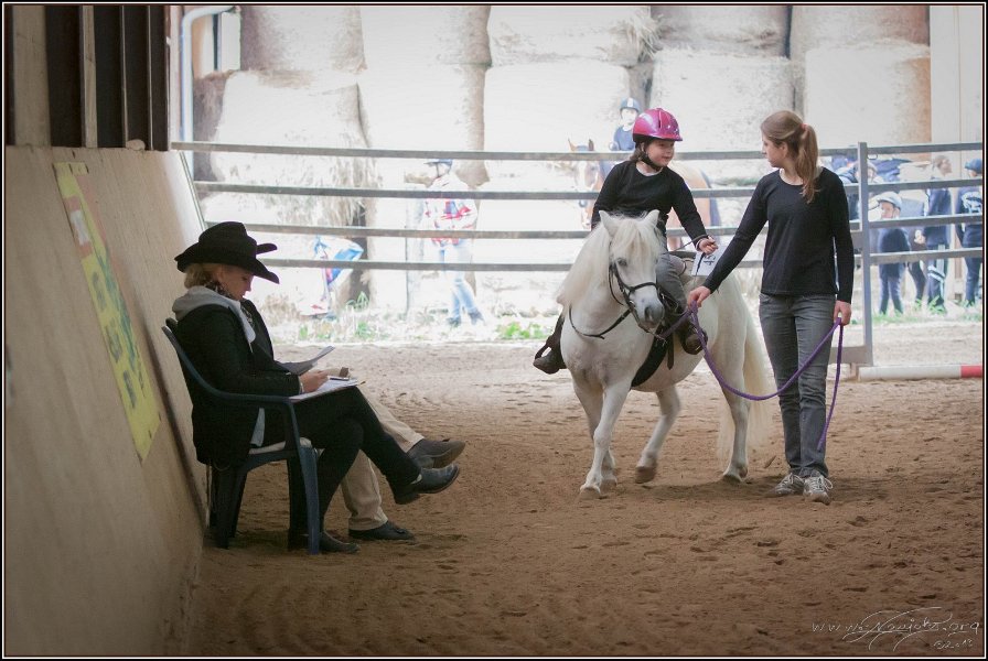 mp-stables 20130921 013