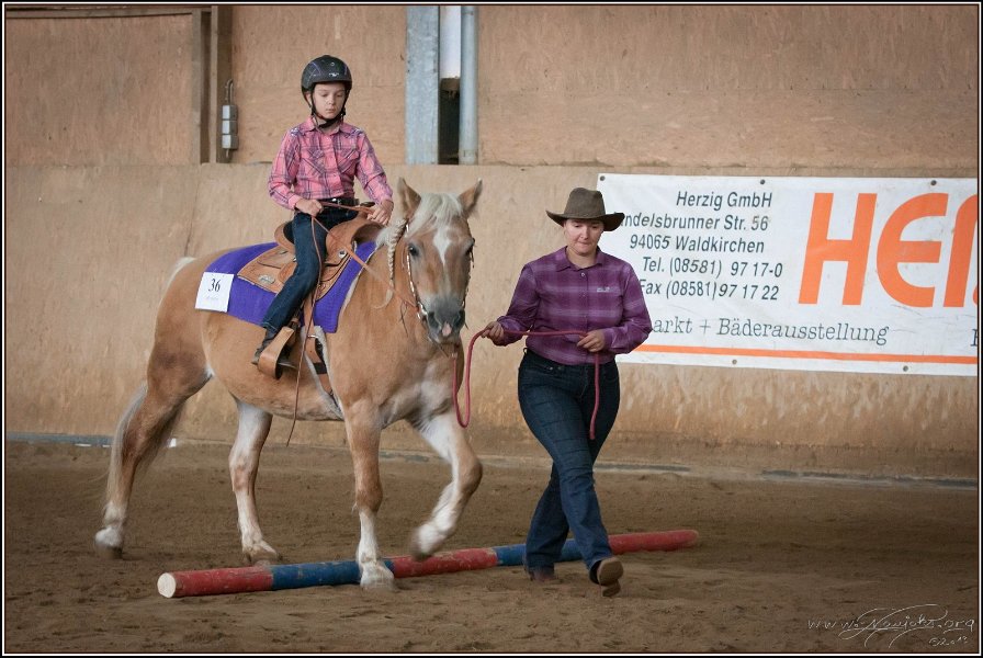 mp-stables 20130921 015