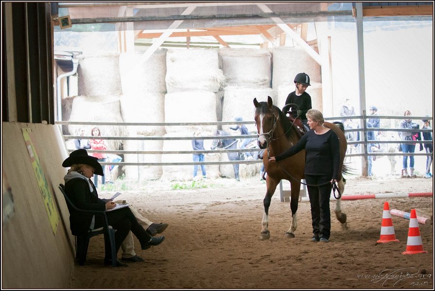 mp-stables 20130921 016