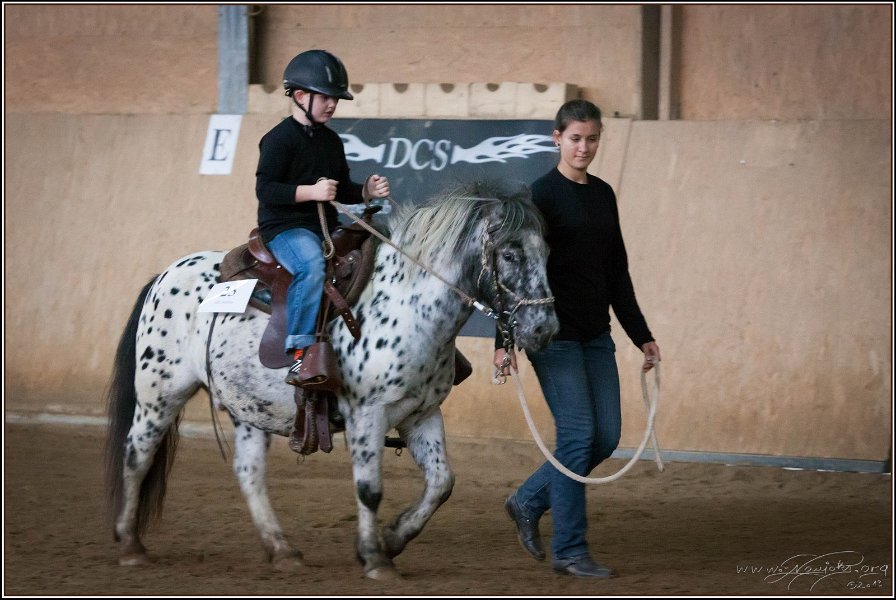 mp-stables 20130921 019