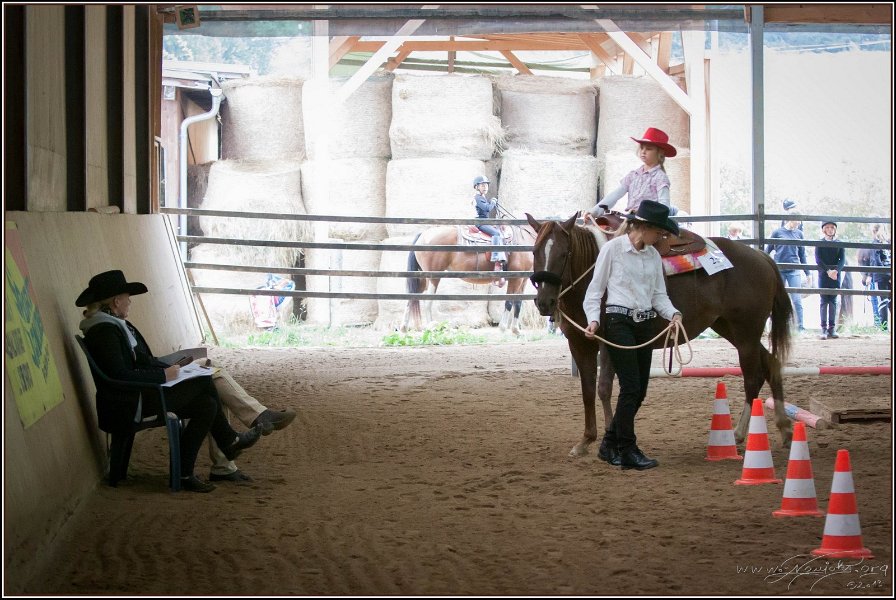 mp-stables 20130921 025