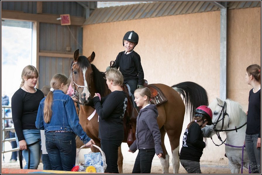 mp-stables 20130921 028