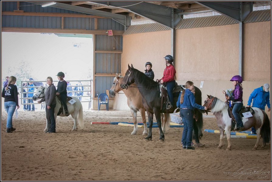 mp-stables 20130921 031