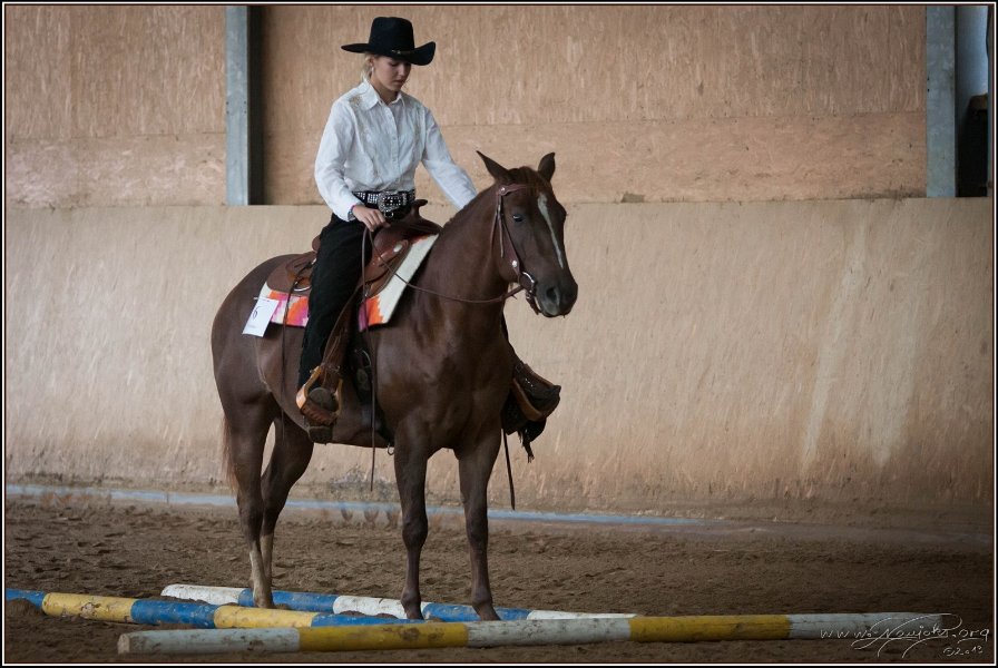 mp-stables 20130921 043