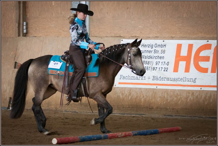 mp-stables 20130921 047