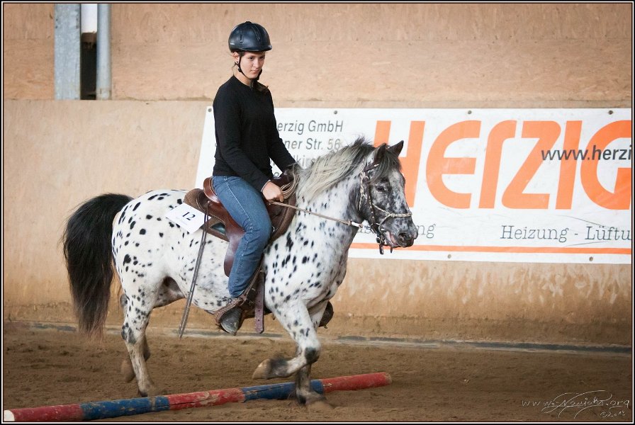 mp-stables 20130921 053