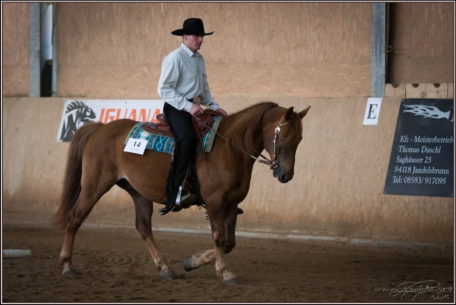 mp-stables 20130921 054