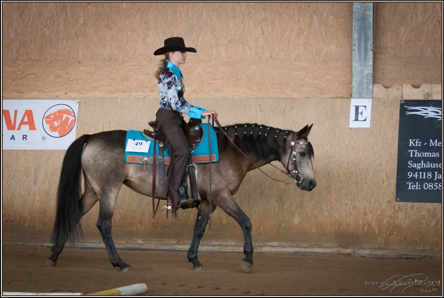 mp-stables 20130921 056