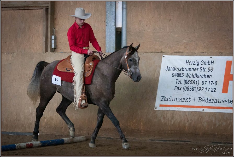 mp-stables 20130921 067