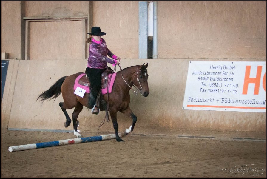 mp-stables 20130921 069