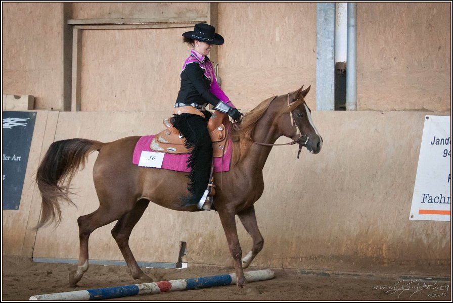 mp-stables 20130921 076