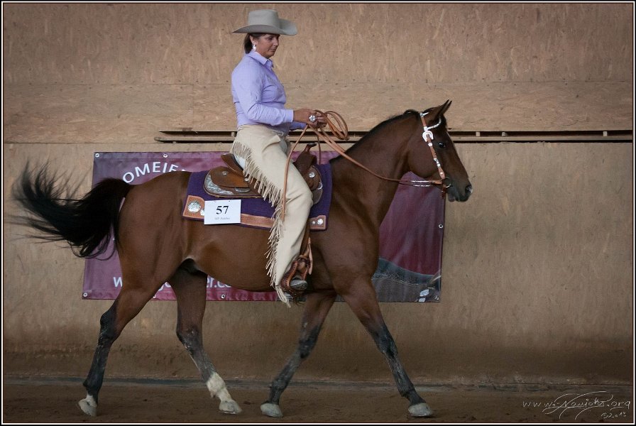 mp-stables 20130921 082